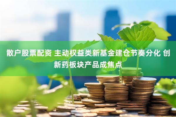 散户股票配资 主动权益类新基金建仓节奏分化 创新药板块产品成焦点