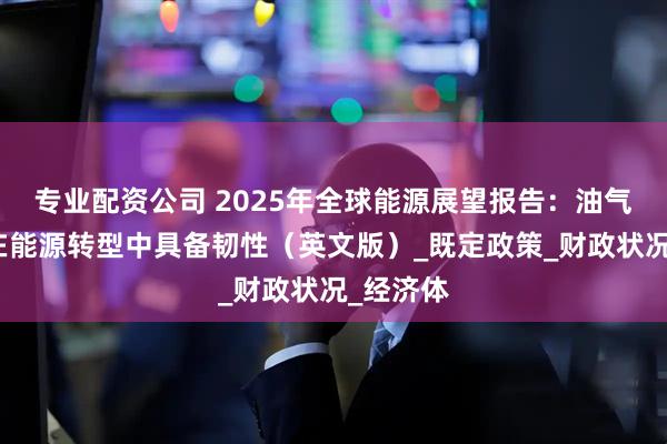 专业配资公司 2025年全球能源展望报告：油气依赖国在能源转型中具备韧性（英文版）_既定政策_财政状况_经济体